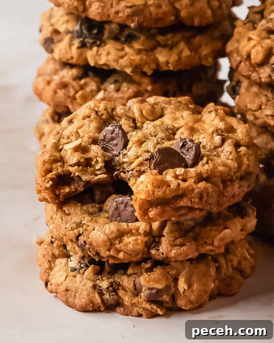 Oatmeal raisin chocolate chip cookies are deliciously soft, cinnamon spiced oatmeal cookies filled with raisins and chocolate chips. These cozy, easy to make oatmeal chocolate chip raisin cookies have soft and chewy centers with crisp, buttery edges.