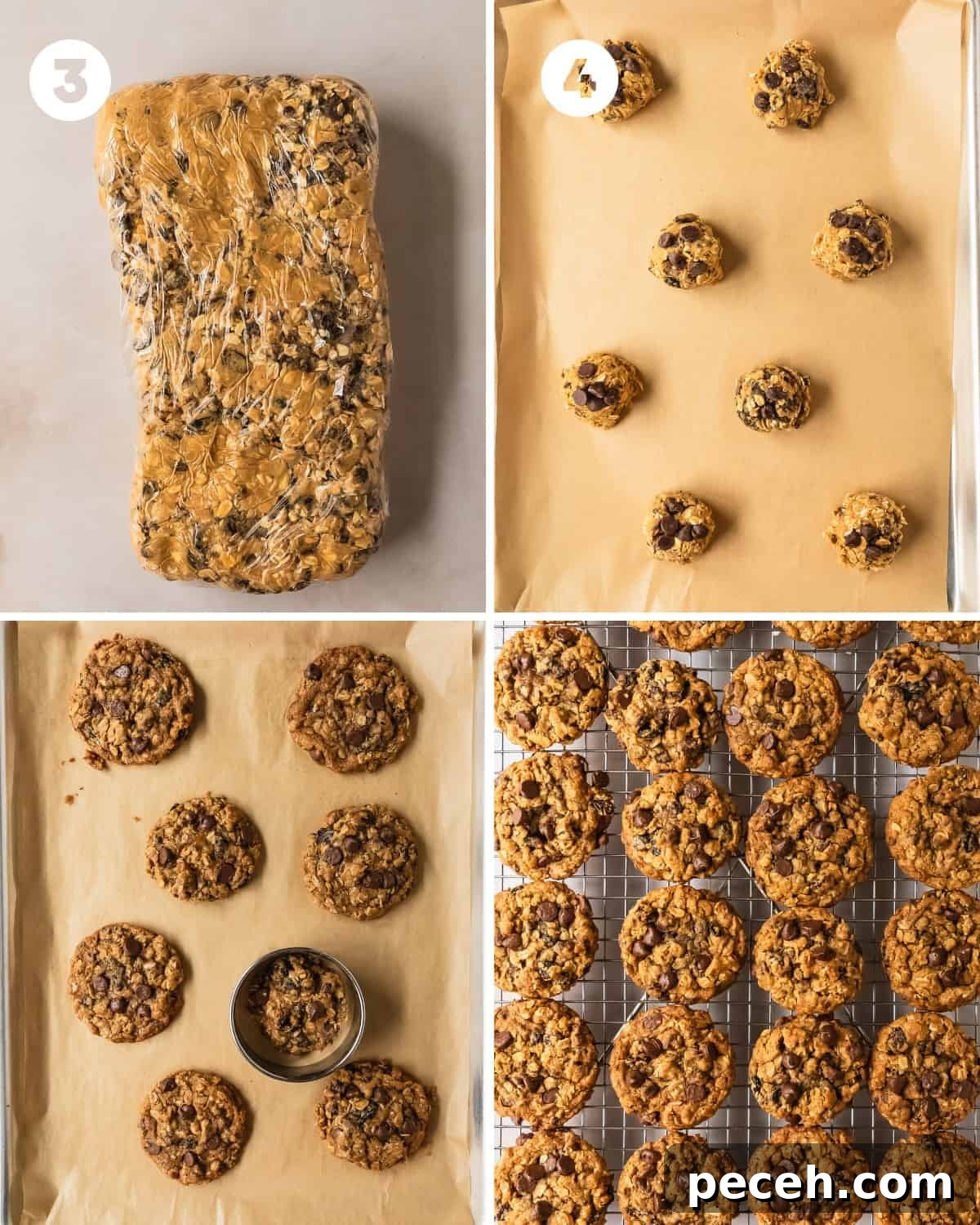 Wrap the cookie dough in plastic wrap and transfer to the fridge to chill for 30 minutes - 2 hours. Preheat the oven to 350 F (177 C) for about 30 minutes before baking the cookies. Line a large baking sheet with parchment paper. 
Using a medium cookie scoop (2 tablespoons, 30 ml), scoop the oatmeal raisin and chocolate chip cookie dough into balls and place them onto the lined baking sheet about 3 inches (8 cm) apart. Bake the oat cranberry cookies at 350 F (177 C) for 11 - 13 minutes or until the edges of the cookies are set and are a light golden brown. The center of the cookies will be slightly puffed up. Reshape any cookies using a biscuit or cookie cutter slightly wider than the cookie. Place the cutter over the cookies so the edges of the cookie are inside the cookie/ biscuit cutter. In a circular motion, gently nudge the edges back into a round shape. Cool the oatmeal raisin chocolate chip cookies on the baking sheet for 5 minutes. Then transfer to a cooling rack to cool completely to room temperature and enjoy. 