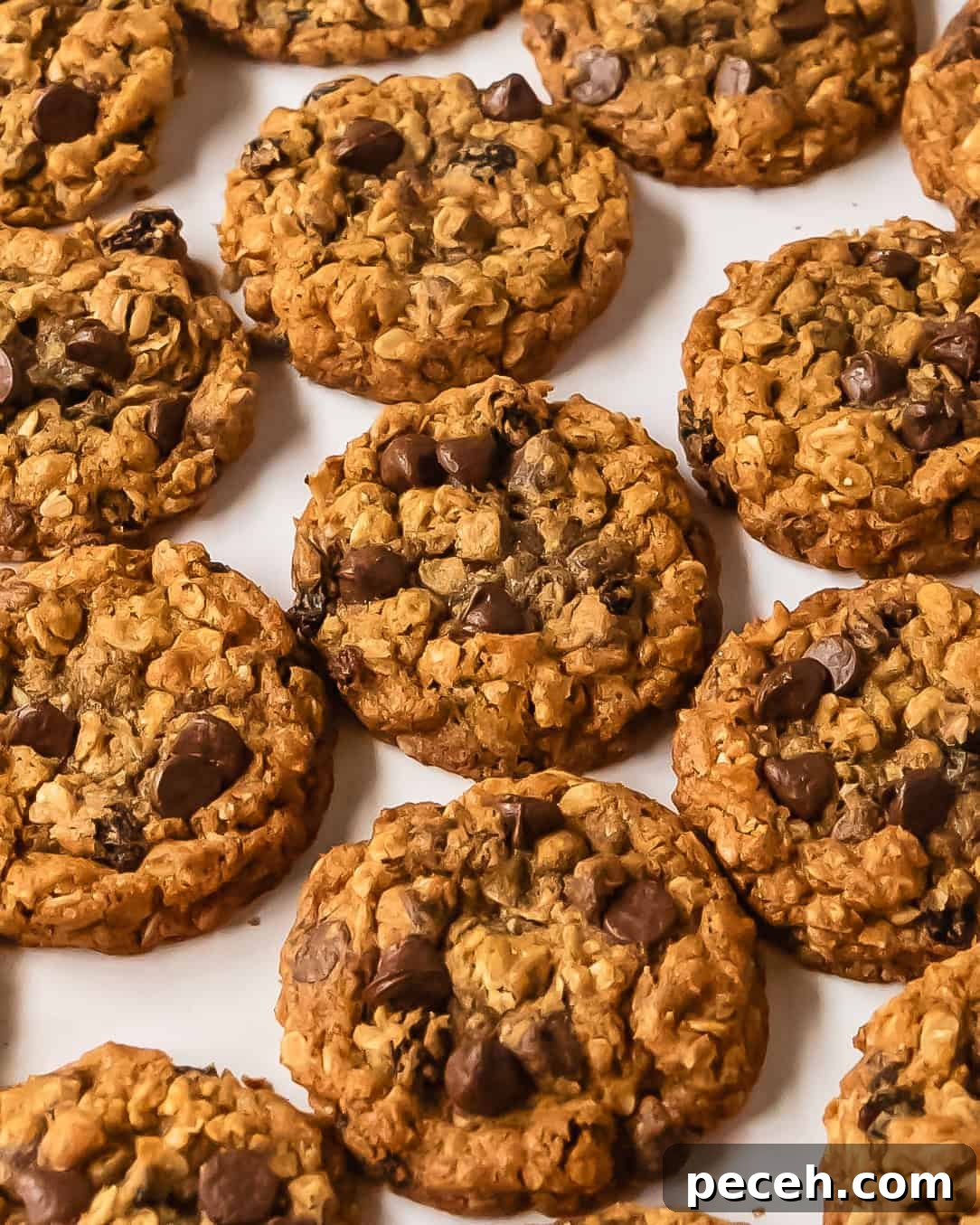 Oatmeal raisin chocolate chip cookies are deliciously soft, cinnamon spiced oatmeal cookies filled with raisins and chocolate chips. These cozy, easy to make oatmeal chocolate chip raisin cookies have soft and chewy centers with crisp, buttery edges. 