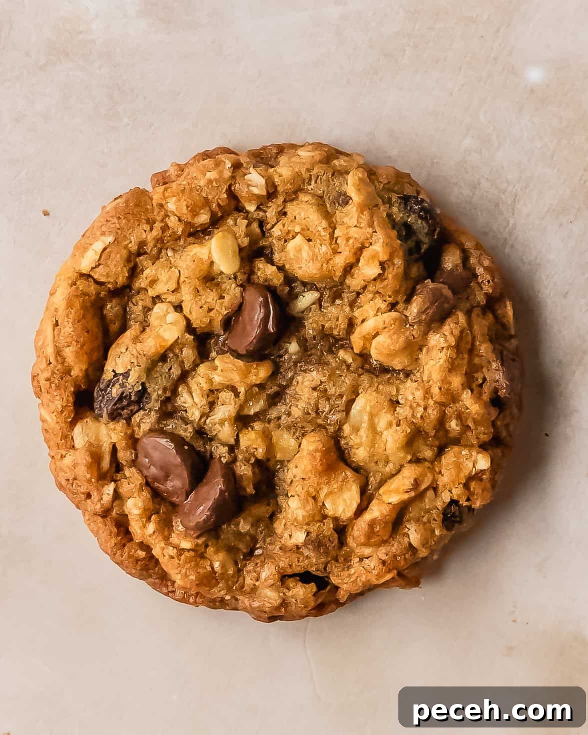 Oatmeal raisin chocolate chip cookies are deliciously soft, cinnamon spiced oatmeal cookies filled with raisins and chocolate chips. These cozy, easy to make oatmeal chocolate chip raisin cookies have soft and chewy centers with crisp, buttery edges.