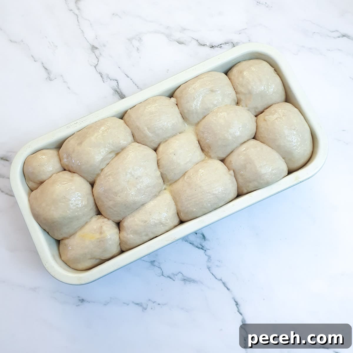 Mosbolletjies (Condensed Milk Rusks): South African Sweet Biscuits 12 Balls of dough in a baking tin, after rising and doubling in size.
