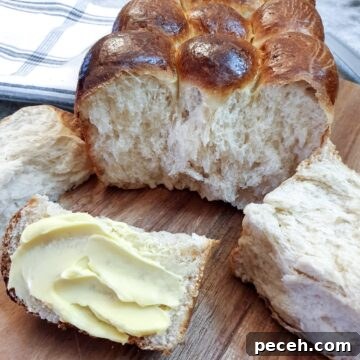 Close up of a soft condensed milk rusk (or mosbolletjie) spread with butter.