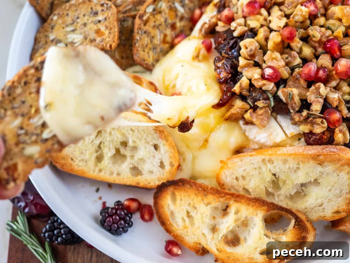 Baked Brie with Caramelized Dates and Toasted Walnuts 5 Close-up of a slice of baguette with melty stretchy Brie on it.
