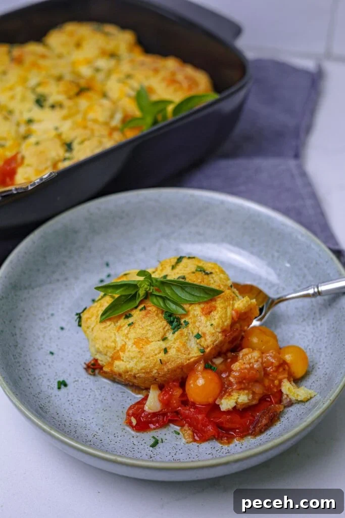 A shallow bowl with a single serve of sourdough tomato cobbler served out. You can see the red and yellow tomatoes of the filling oozing out from underneath the biscuit topping. You can see the rest of the sourdough tomato cobbler in the black baking dish in the background.