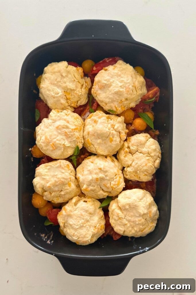 A sourdough tomato cobbler that has been topped with sourdough cheddar biscuits that is ready to be baked in the oven.