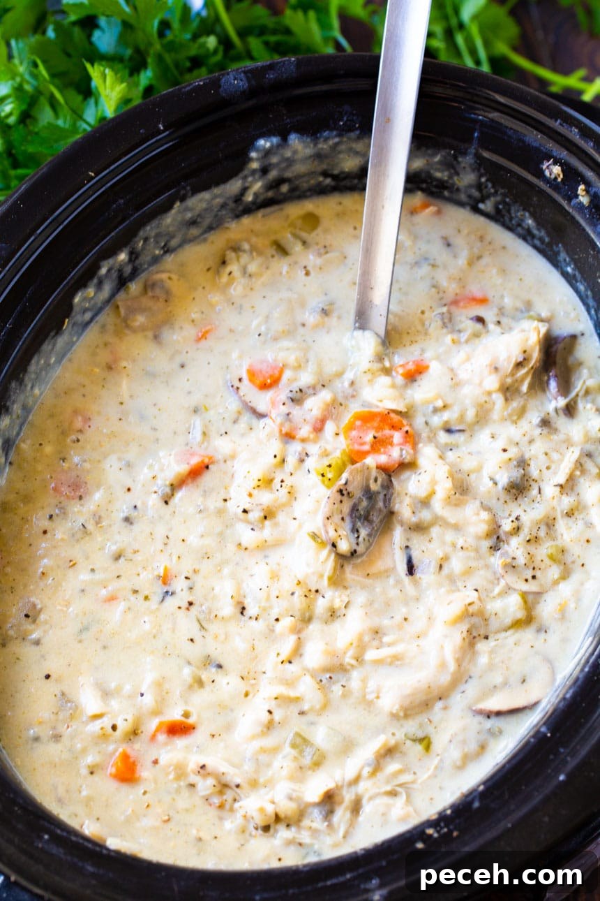 Creamy Slow Cooker Chicken and Wild Rice Soup Recipe 3 Chicken Wild Rice Soup in a slow cooker.