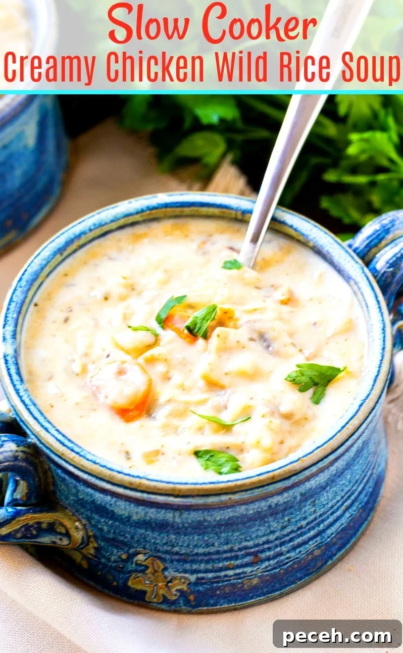 Creamy Slow Cooker Chicken and Wild Rice Soup Recipe 6 img 30967 7