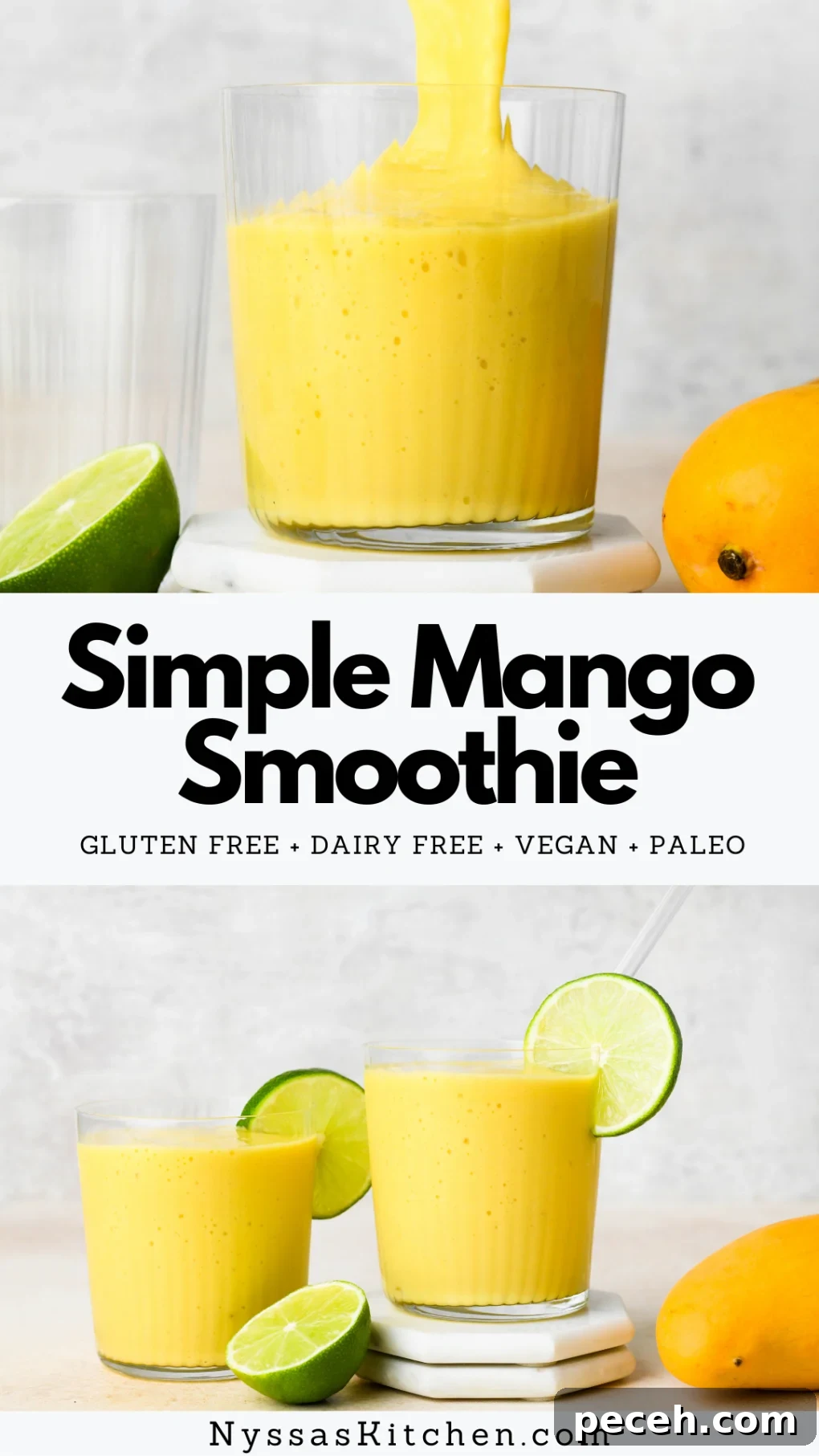 5-Minute Dairy-Free Frozen Mango Smoothie Recipe 10 Pinterest pin for simple mango smoothie