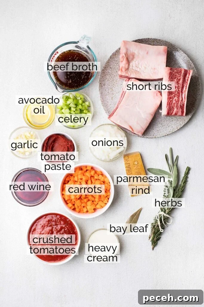 Braised Beef Short Rib Ragu Recipe — Slow-Cooked Italian Comfort 3 The ingredients needed to make a short rib ragu.