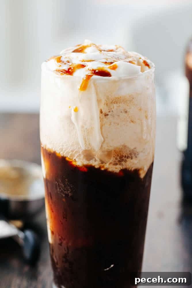 Vegan Guinness Caramel Ice Cream Float Recipe 3 Glass of vegan Guinness float