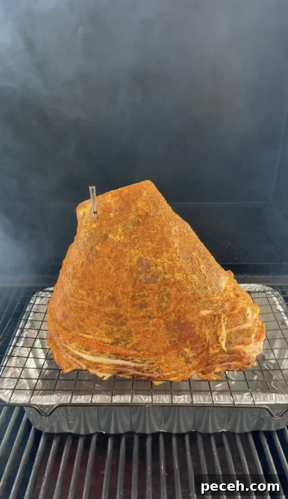 Classic Christmas Glazed Ham Recipe for Holiday Dinner 4 ham in the smoker with a metal pan beneath