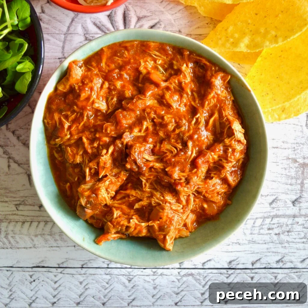 10 Gluten- and Dairy-Free Slow Cooker Recipes for Busy Weeknights 4 taco chicken
