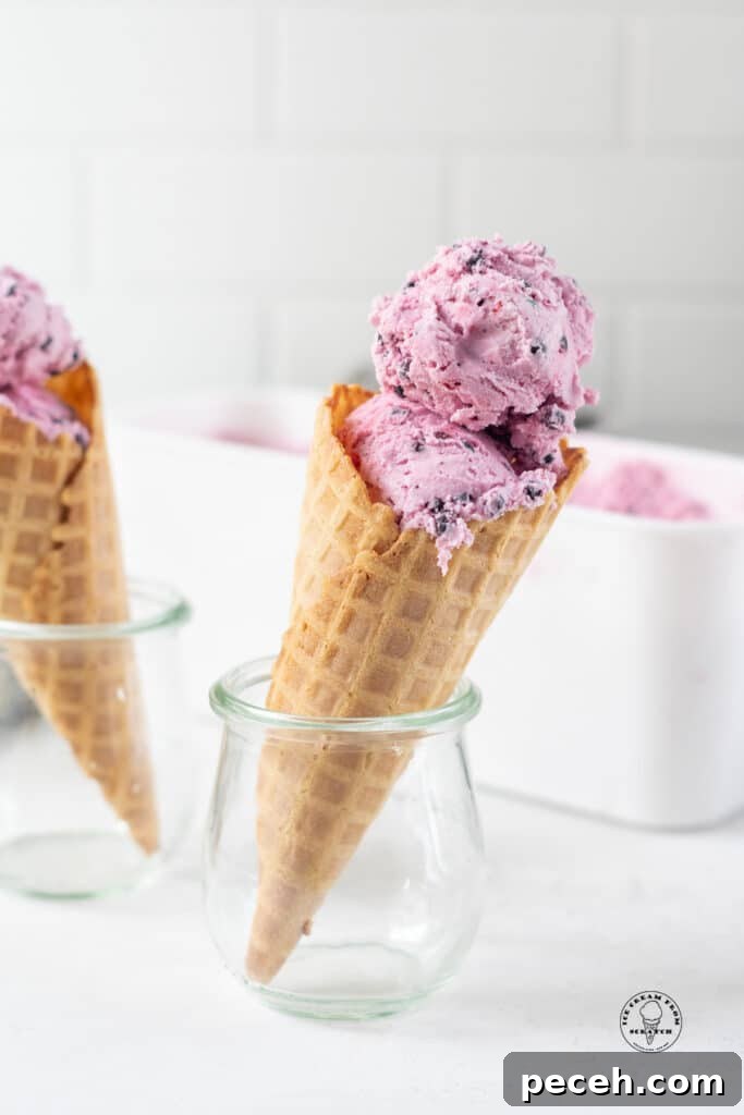 30 Irresistible Ninja Creami Recipes for Homemade Ice Cream & Desserts 3 Two small jars holding up waffle cones filled with purple huckleberry ice cream.