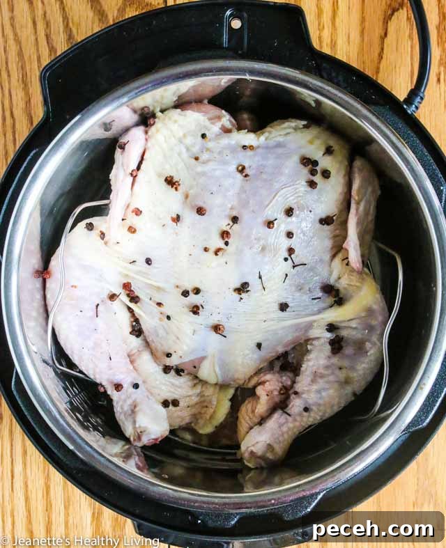 Instant Pot Chinese Smoked Chicken Recipe 5 Instant Pot Chinese Smoked Chicken - pressure steaming chicken before smoking it is a time saver and ensures a tender chicken