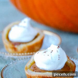 Mini Pumpkin Pies: Perfect Single-Serve Fall Desserts 3 Mini Pumpkin Pies.