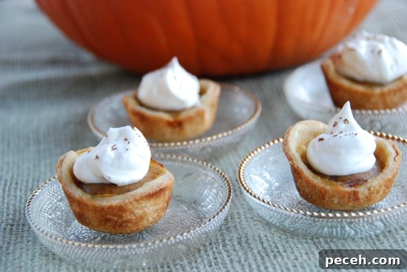 Mini Pumpkin Pies: Perfect Single-Serve Fall Desserts 8 Mini pumpkin pies.
