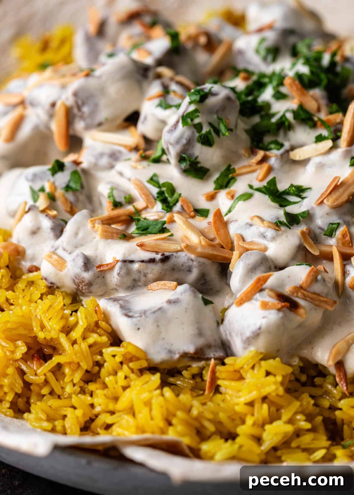 Authentic Jordanian Mansaf Recipe: Traditional Bedouin Feast 3 closeup side view: ready to serve mansaf