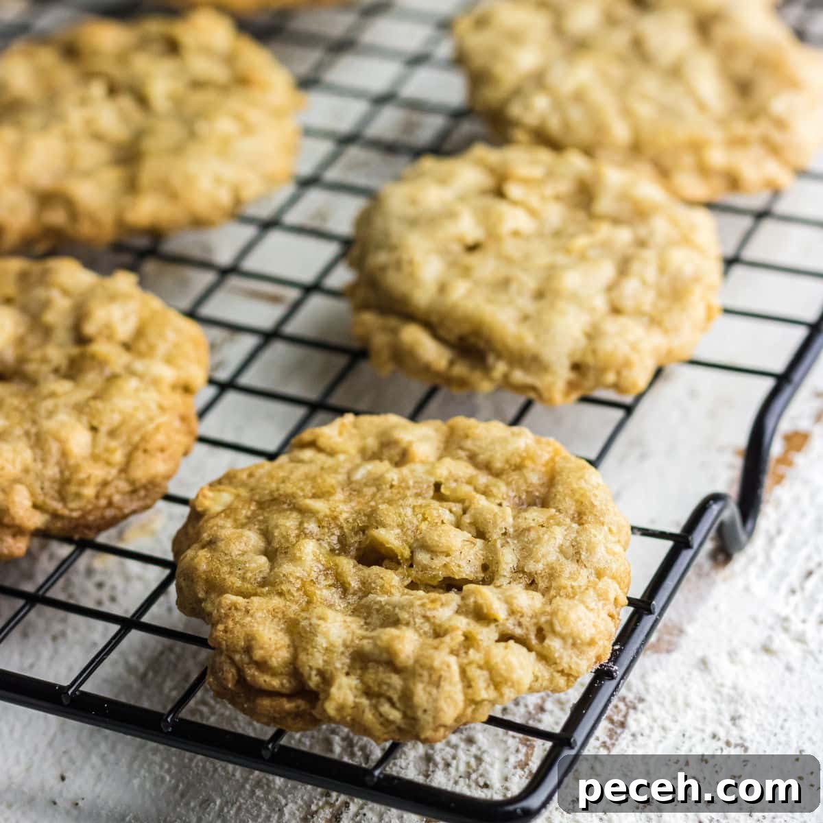 Square image of cookies.