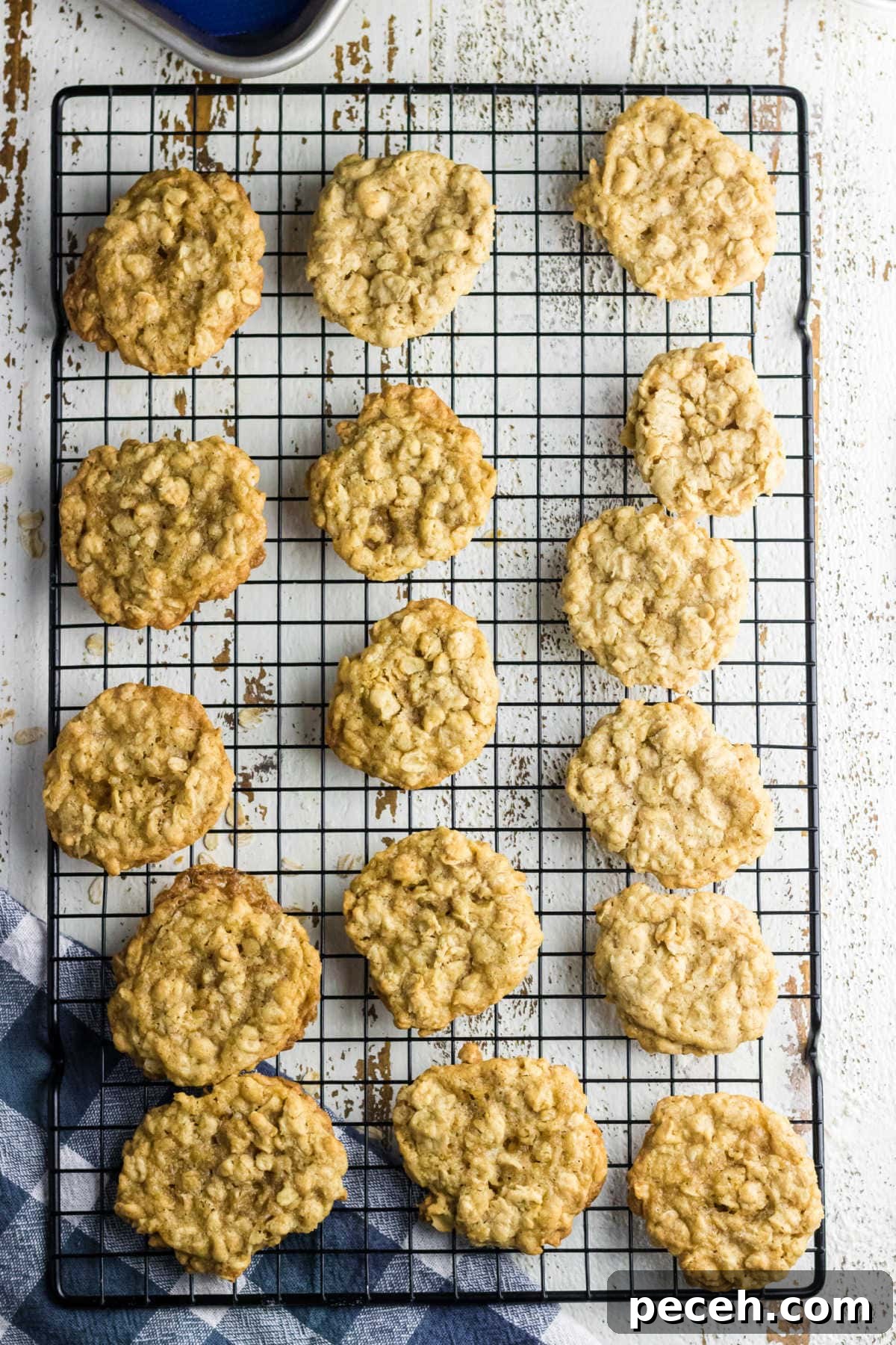 Overhead view of cookies cooling on a rack.