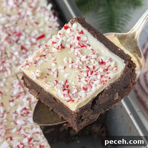 Thick peppermint bark brownie.