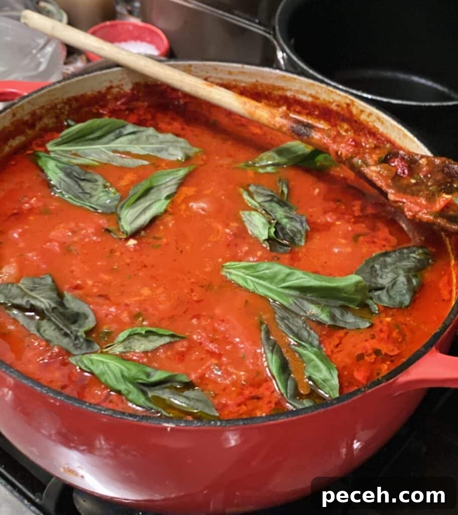 Authentic Meatless Sugo: Italian Tomato and Basil Sauce Recipe 7 Pot of sugo recipe topped off with fresh basil leaves with wooden spoon.