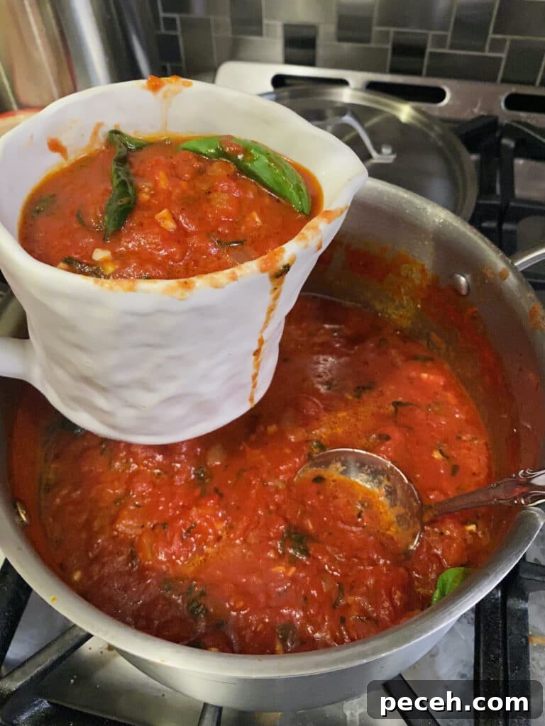 Authentic Meatless Sugo: Italian Tomato and Basil Sauce Recipe 8 Gravy boat full of sugo recipe over pot of tomato basil sauce.