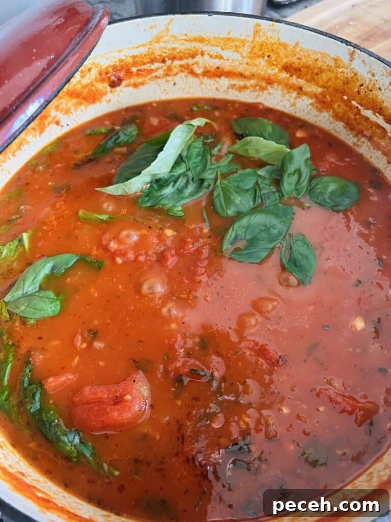 Authentic Meatless Sugo: Italian Tomato and Basil Sauce Recipe 4 Pot of sugo recipe topped off with fresh basil leaves.