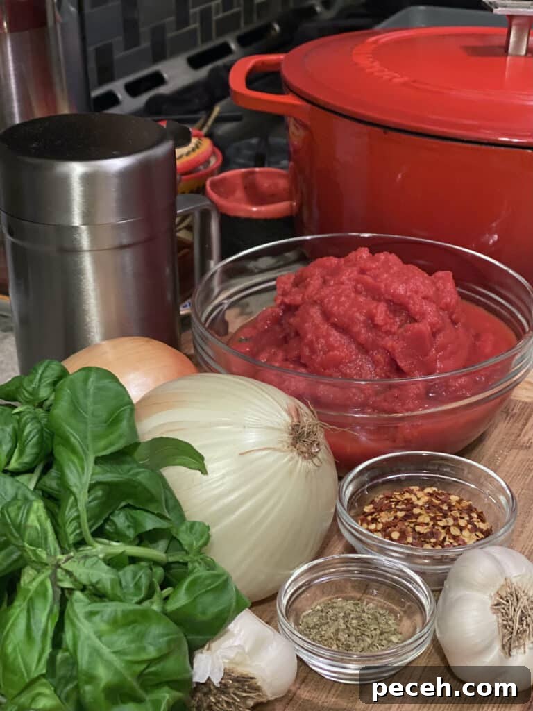 Authentic Meatless Sugo: Italian Tomato and Basil Sauce Recipe 5 Ingredients for the tomato basil sugo recipe.