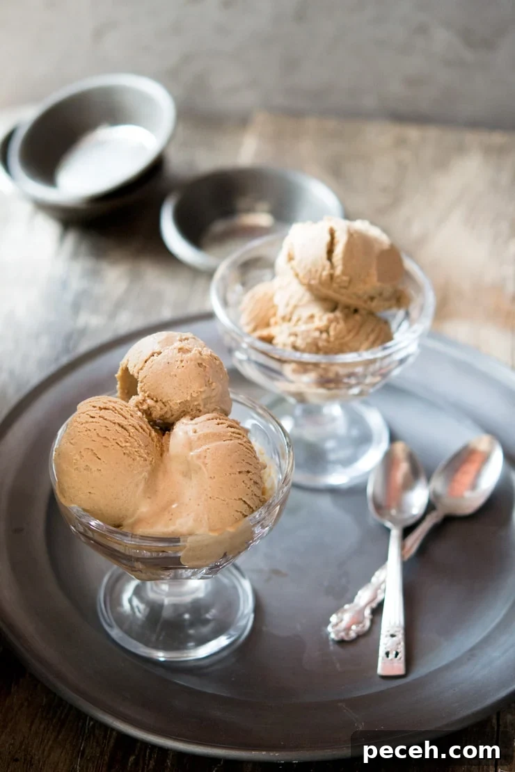 Chocolate hazelnut ice cream recipe Inside The Rustic Kitchen