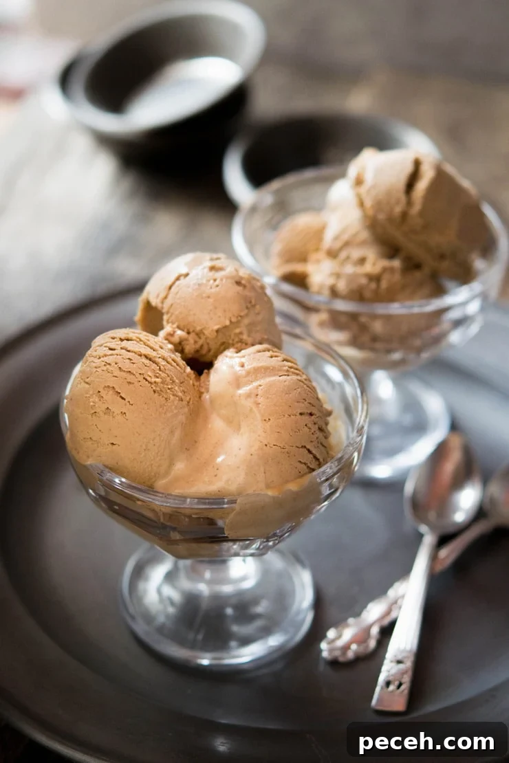 Chocolate hazelnut ice cream recipe Inside The Rustic Kitchen