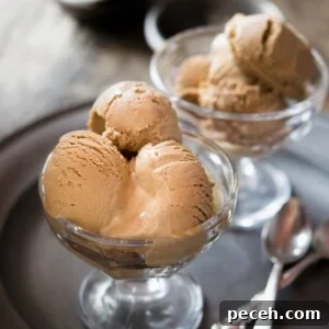 Chocolate hazelnut ice cream, a simple and fun recipe that will put you in nutty, chocolatey ice cream heaven.