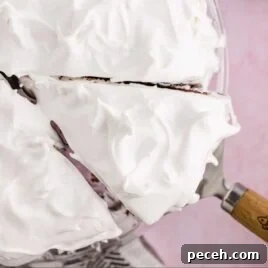 7-Minute Frosting Recipe: Light, Fluffy Meringue Icing 9 overhead shot of 7 Minute Frosting on a cake