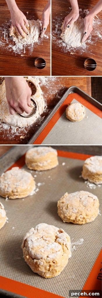 Vegan Pumpkin Biscuits with Maple Cinnamon Butter 3 Hands cutting cutting out biscuit dough on baking sheet