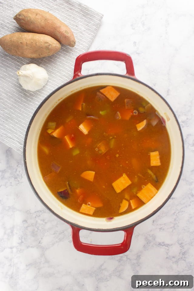 Creamy Sweet Potato and Peanut Stew (Vegetarian) 4 Vegetarian Sweet Potato Peanut Stew Simmering