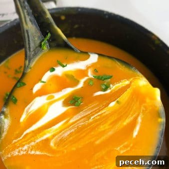 One-Pot Carrot and Ginger Soup Recipe 5 Easy Carrot Ginger Soup Recipe