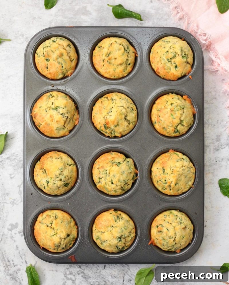 Savory Cheddar & Spinach Muffins Recipe for Quick Breakfast 3 Baked Muffins from above in the muffin pan.
