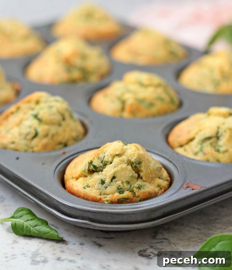 Savory Cheddar & Spinach Muffins Recipe for Quick Breakfast 6 Close up on a Muffin in the pan.