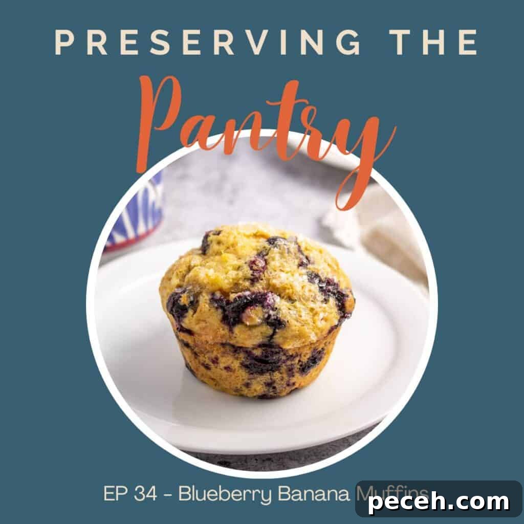 A blueberry muffin on a white plate.