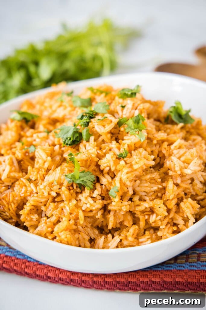 mexican rice in a bowl topped with cilantro