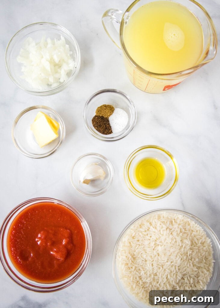 ingredients for mexican rice
