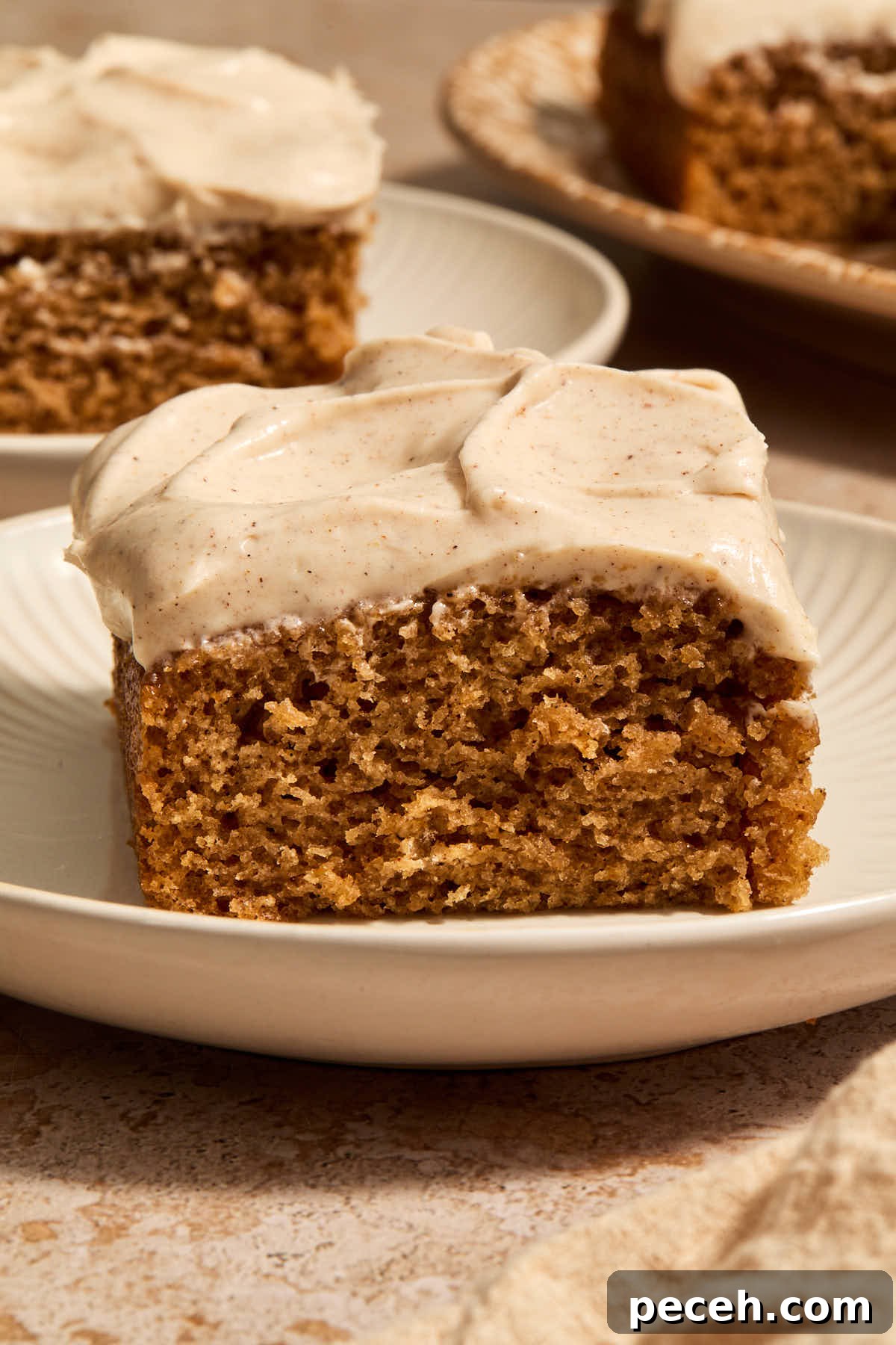 Vegan Chai-Spiced Layer Cake Recipe 13 Side view of a piece of chai cake on a plate with pieces in the background.