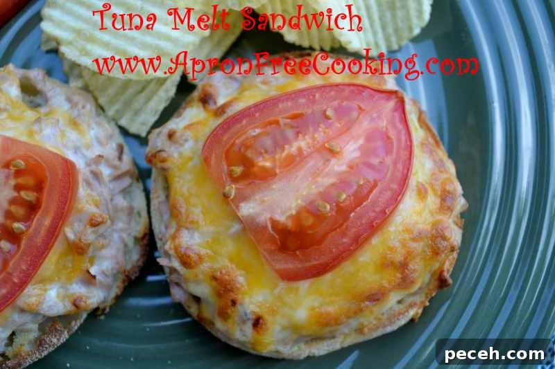 Tuna Melt Sandwich