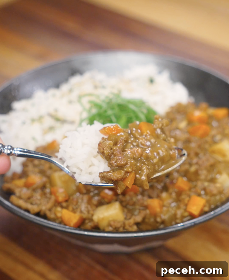 Spoon lifting a bite of Japanese ground beef curry with tender beef, carrots, potatoes, and rice, showcasing the thick and glossy curry sauce.