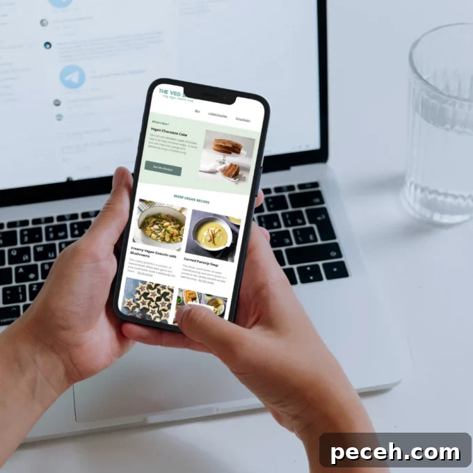 Veg Space E-Newsletter