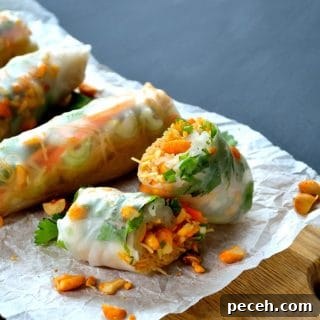 Chilli Peanut Vietnamese Rolls