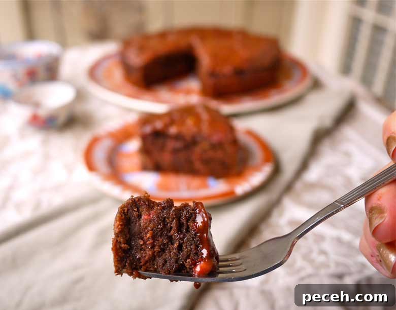 Paleo Raspberry Chocolate Banana Cake — Gluten-Free Recipe 5 Paleo Raspberry Chocolate Banana Cake (GF, dairy-free) | Perchance to Cook