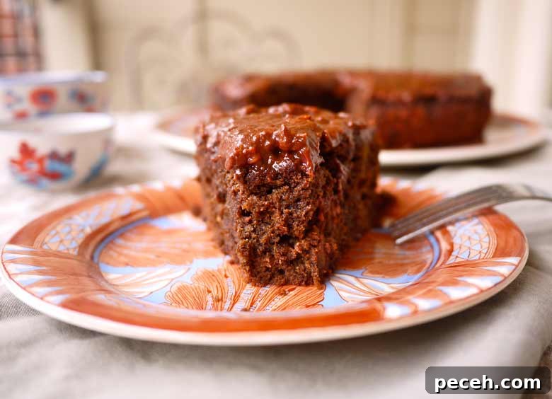 Paleo Raspberry Chocolate Banana Cake — Gluten-Free Recipe 6 Paleo Raspberry Chocolate Banana Cake (GF, dairy-free) | Perchance to Cook