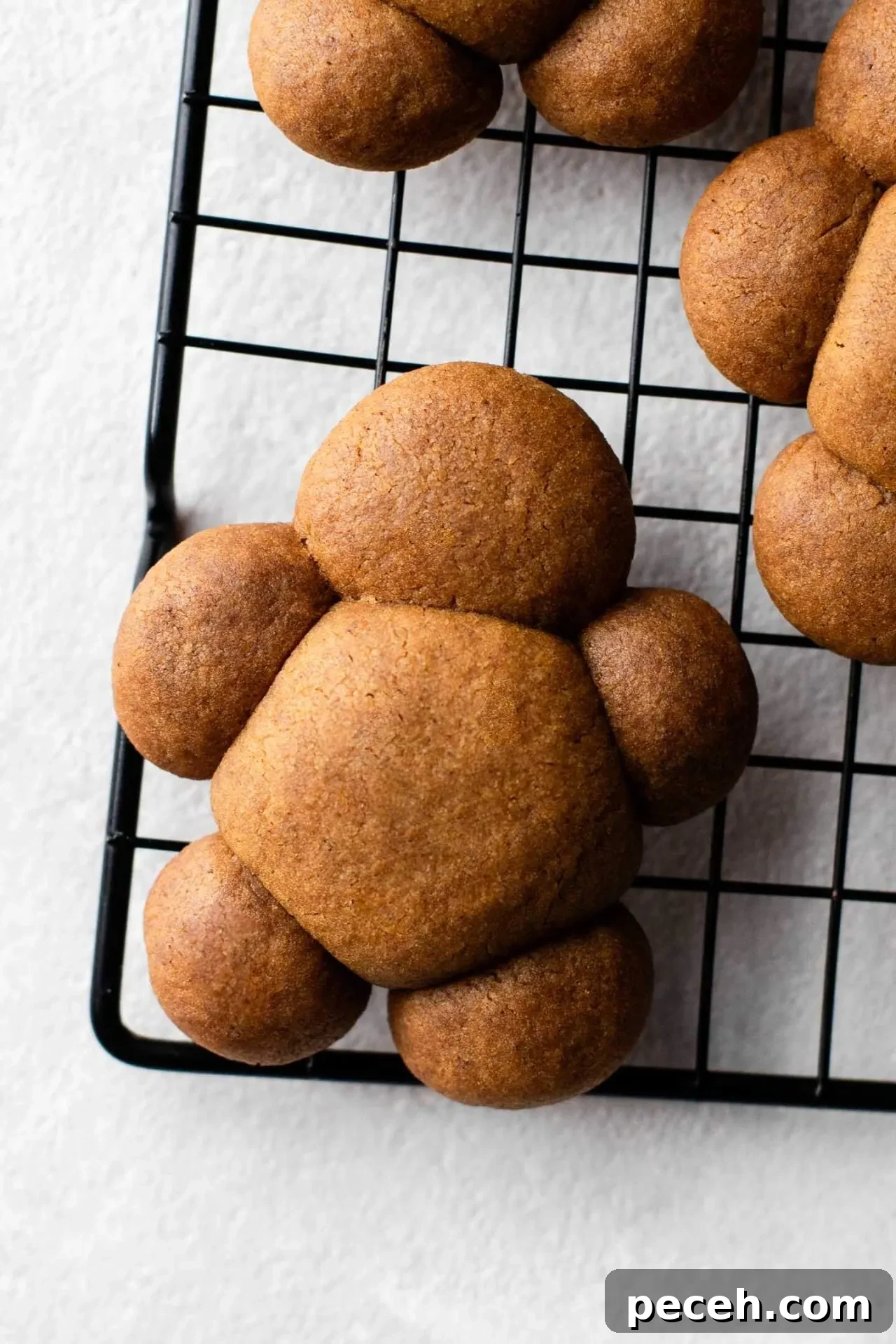 baked chubby gingerbread men on wire rack