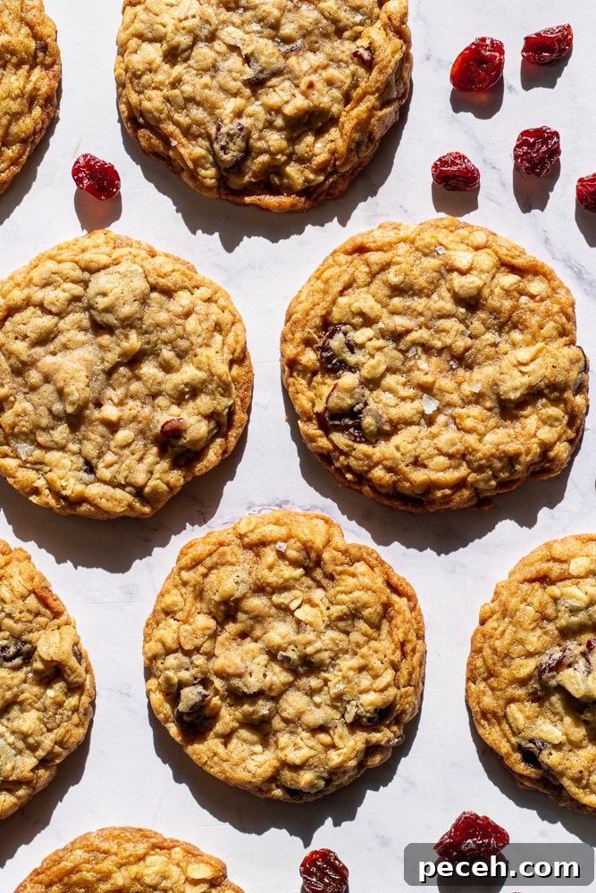 Cherry Toffee Oatmeal Cookies Recipe — Chewy Cherry & Toffee Bites 11 cherry toffee oatmeal cookies