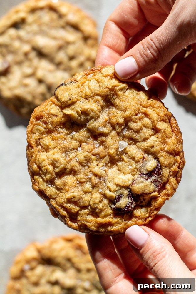 Cherry Toffee Oatmeal Cookies Recipe — Chewy Cherry & Toffee Bites 3 cherry toffee oatmeal cookies